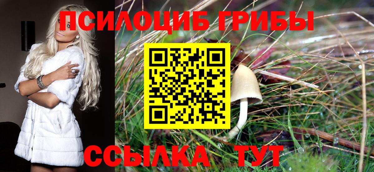 Псилоцибиновые грибы Cubensis  Вход с VPN  где найти наркотики  Среднеуральск 