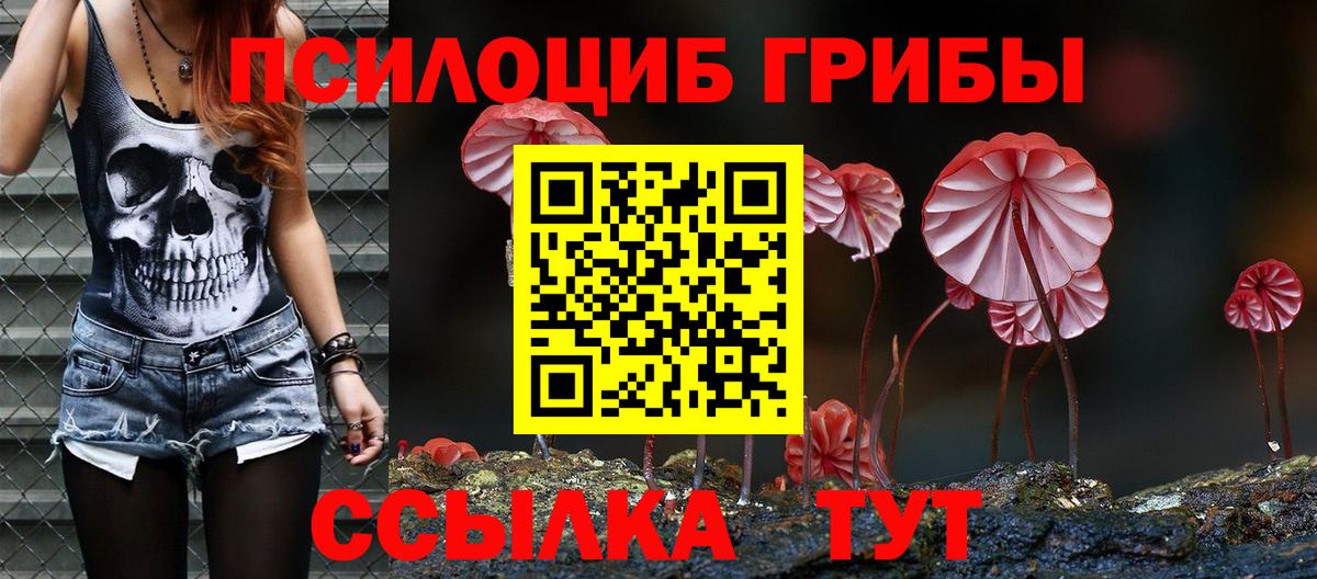 Псилоцибиновые грибы ЛСД Среднеуральск